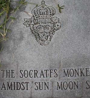 The Socrates Monkey