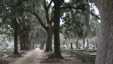 Old Live Oaks Cemetery Main Page Left