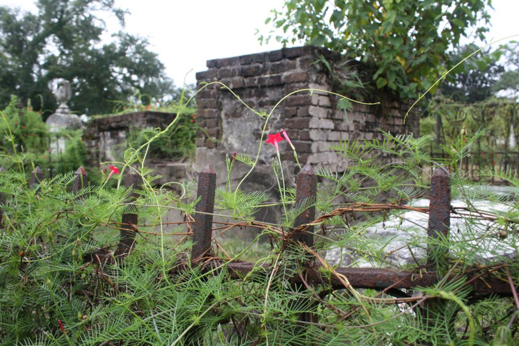 Burial Crypt