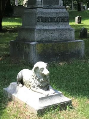Cemetery Symbolism Dog
