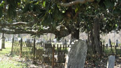 Mesopotamia Cemetery, Pickens Lot