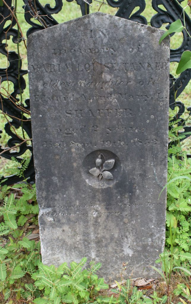 Carver, Jarvis Turner, Broken Stem, Rose Bud