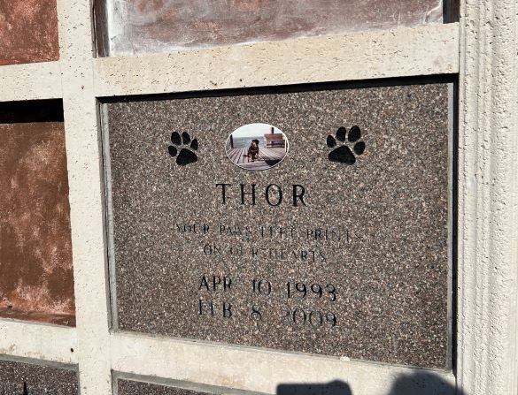 Thor, Dog