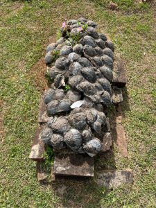 Tomb Types – Cemetery Symbolism