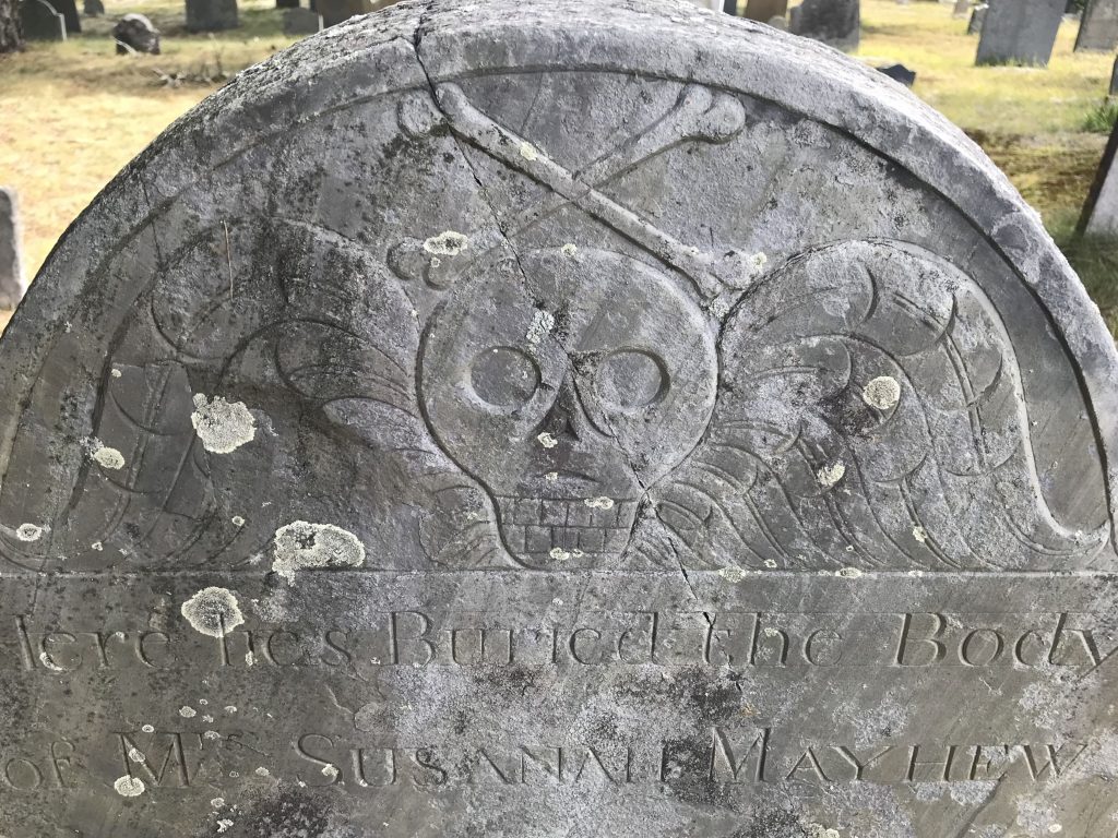 Susannah Mayhew, Martha's Vineyard, Fosters of Dorchester