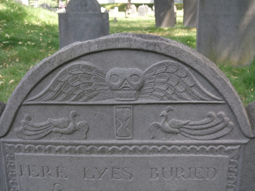 Peacocks, John Cleverly, Carver JN